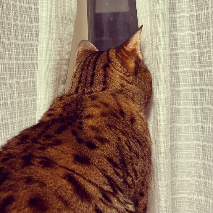 454abc1f bb59 453a 86d7 0190d9c2cd69 1637917064318