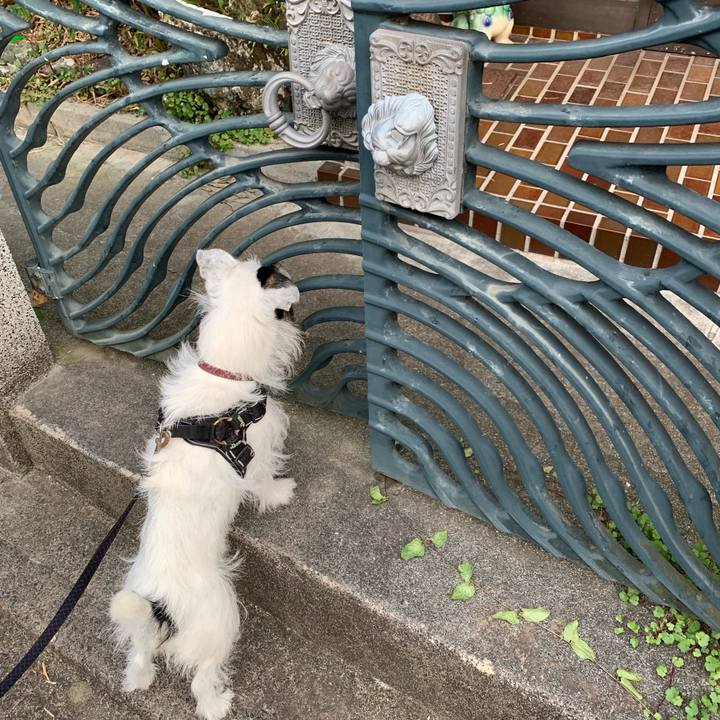 454aee08 bd20 4edd b8f9 2f41ee841ce0 1632902535850