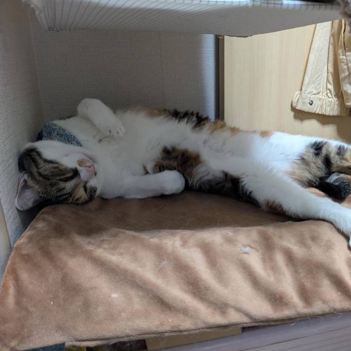 454b1050 0f94 4479 b583 a1ff8b2d5ae9 1766613708233