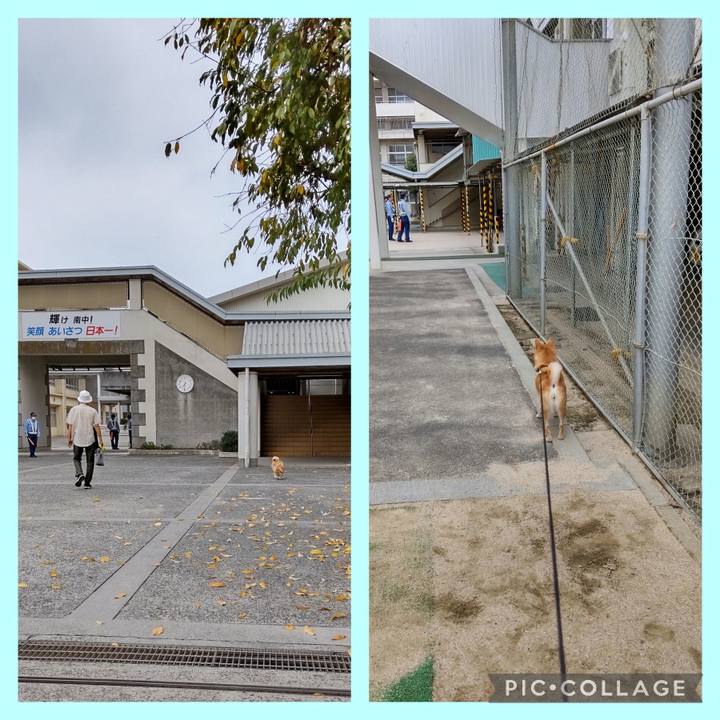 454b13ce 4935 4284 86e6 998a825951bb 1729985675969