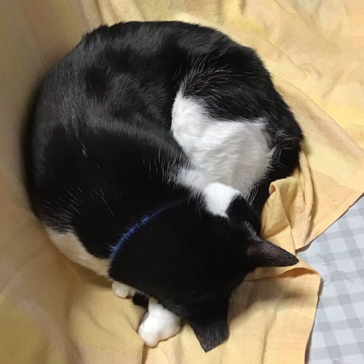 454b20b3 c458 4aff a85d ad85c35a1c45 1708311104160