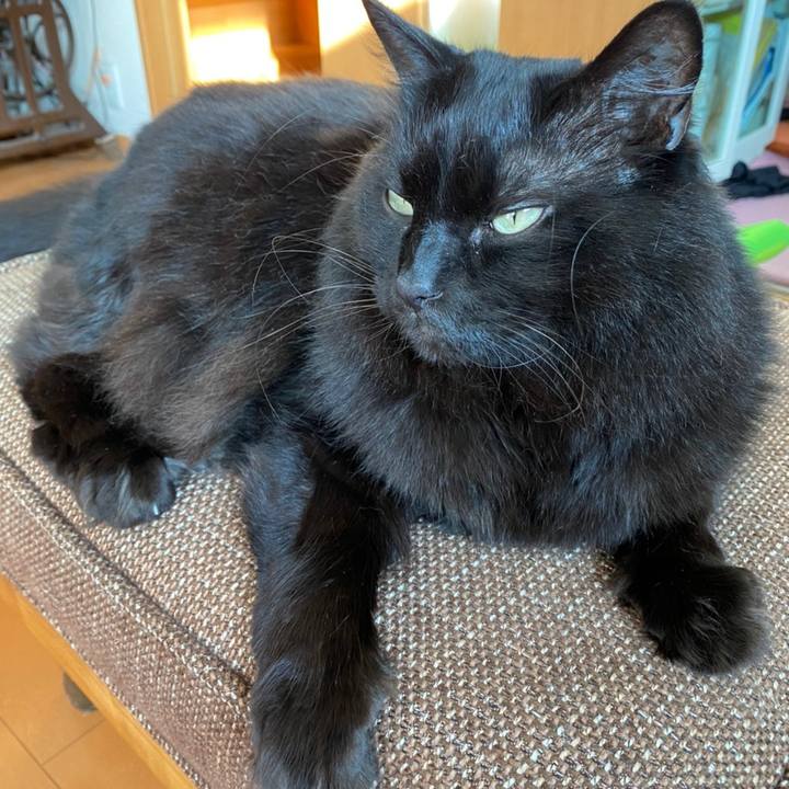 454b4cf5 ef21 409c b56a 8501c751cf81 1607785018609