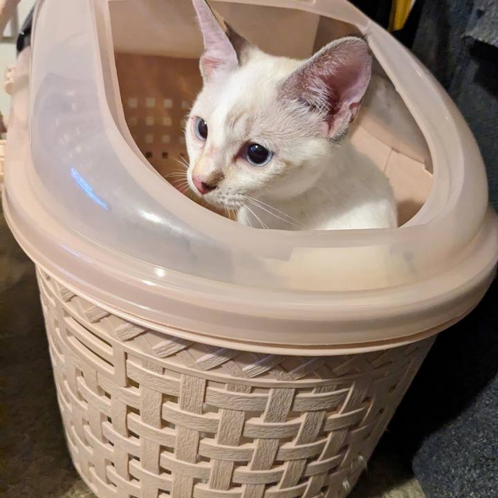 454b6ac0 9a1c 4513 8ee0 f50a54a7de5b 1690534162568