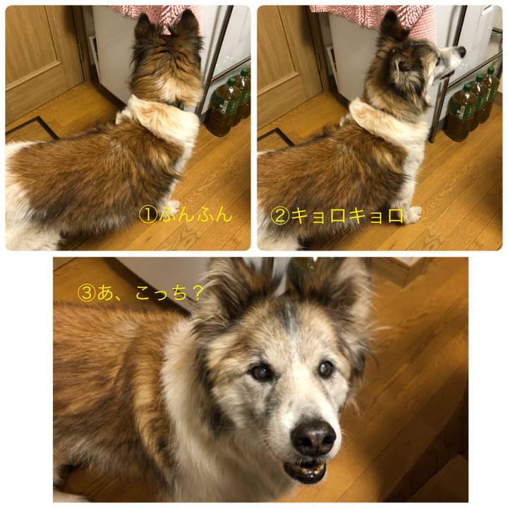 454be5b0 9193 4666 9f8f a74b5d82b707 1520852238899