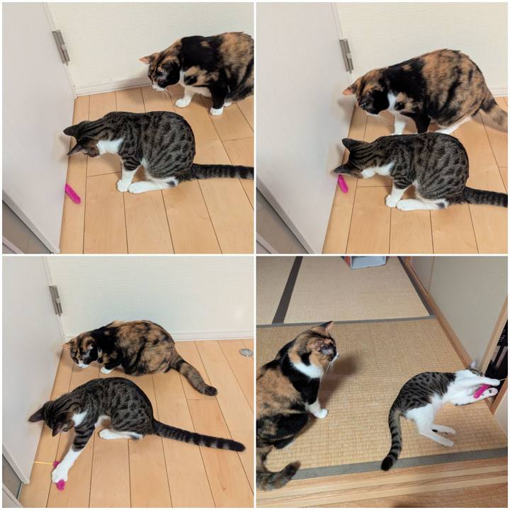 454c914e 6e71 4bc5 be1e 7b8cf90499fe 1728283138134