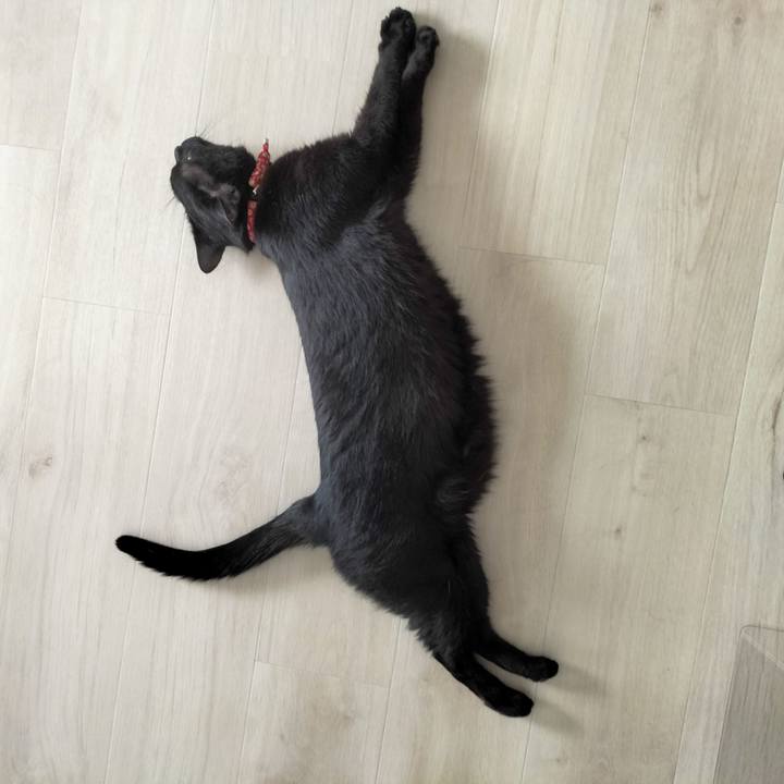 454d3c96 61d5 429b 89fe 69a249d3e0bc 1687041297698