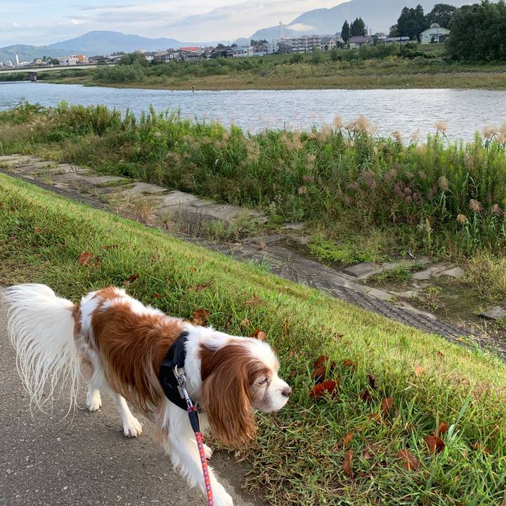 454d7f4b 22ca 4718 a28b 82aa474bae59 1601418934522