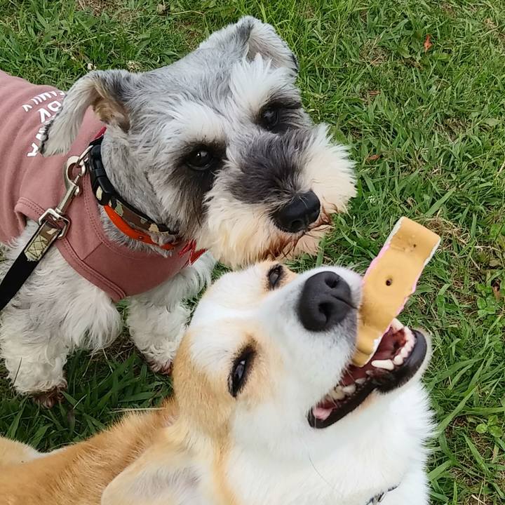 454da250 49df 40cc 90cc 0abc6057f276 1558226598684