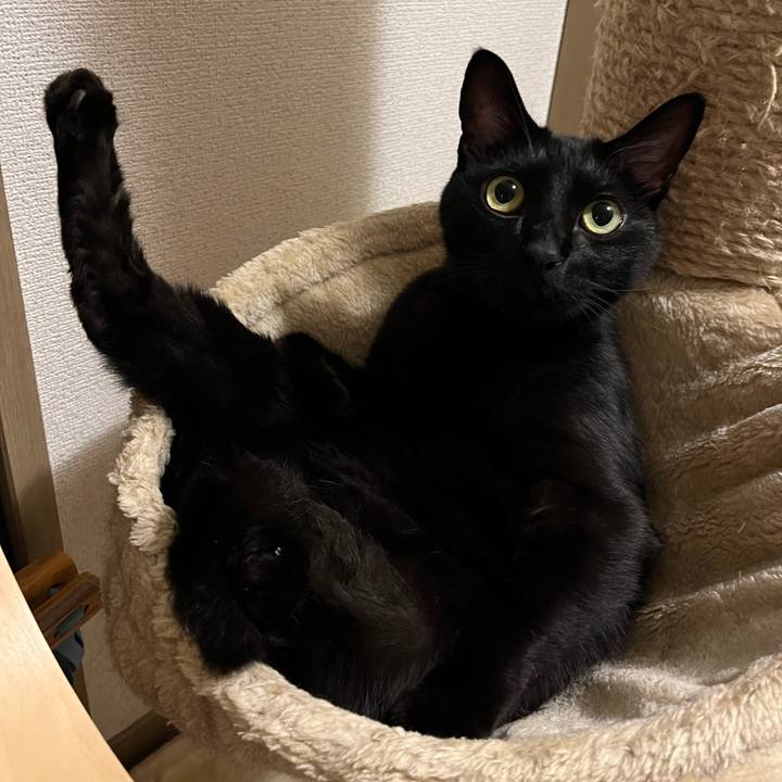 454dbfc0 8bd4 402b 8a4e 91fa966c939e 1686615879195