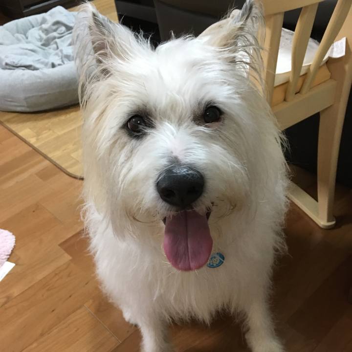 454ddd7f e72e 486d a9bb c7ef66b9268c 1550661623836