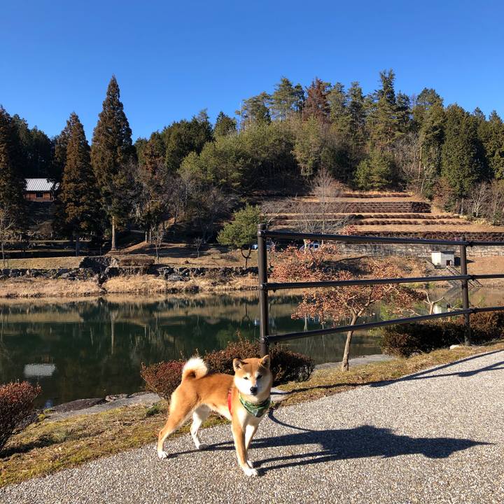 454e3355 ea7a 4b13 9407 0fbb1ea17c18 1547454580759