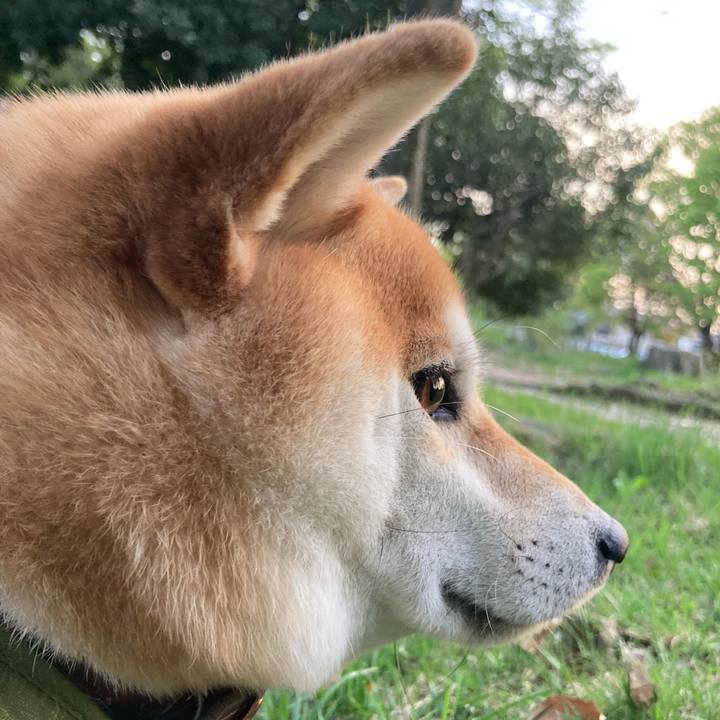 454e42b2 5b95 4285 9f87 a61b8a96c93c 1680653721128