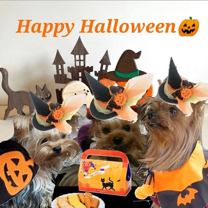 454e473a b9a4 47d2 85d2 5262bb91a26b 1635668714566