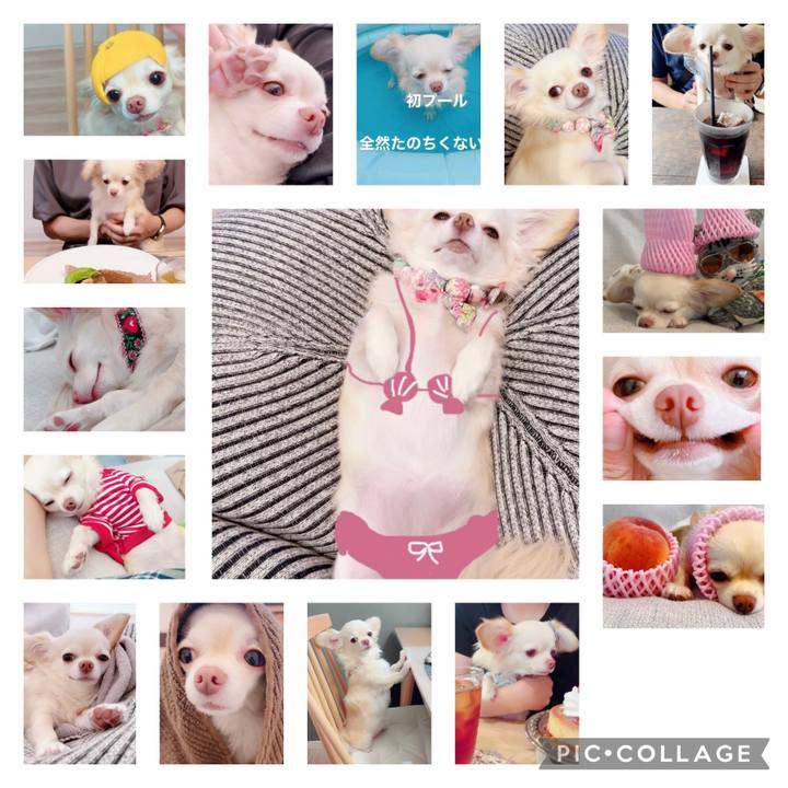 454e6570 909e 4c7a 97f2 7f7cf93d6c69 1697449022691