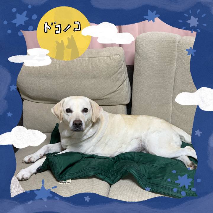 454e7305 4c8d 43e0 9d01 9b4a3e0bee59 1727183874094