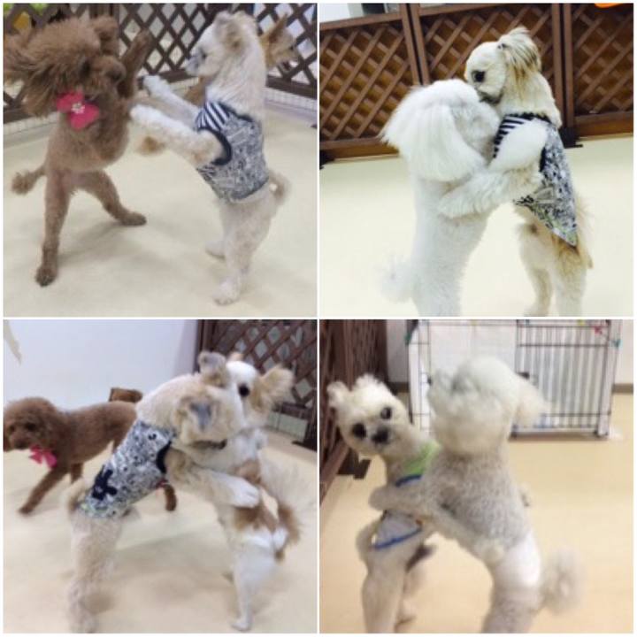 454e8142 38ac 4e55 8967 415f6da4cb4c 1526715687552