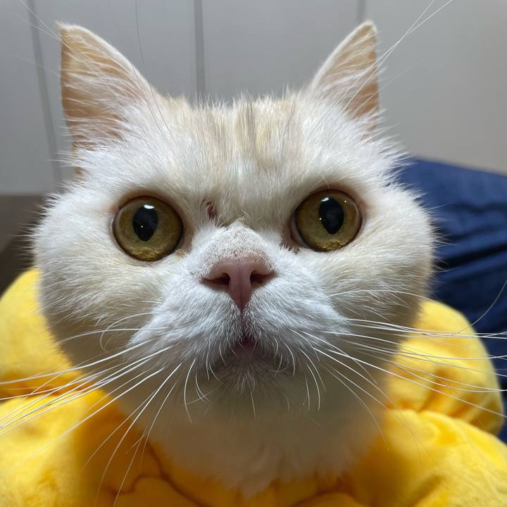 454e8460 b16e 4cb0 bf79 0457541e43e9 1765359530408