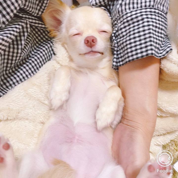 454e883b f1ba 41a6 af23 e6decf0c5d76 1600496057081