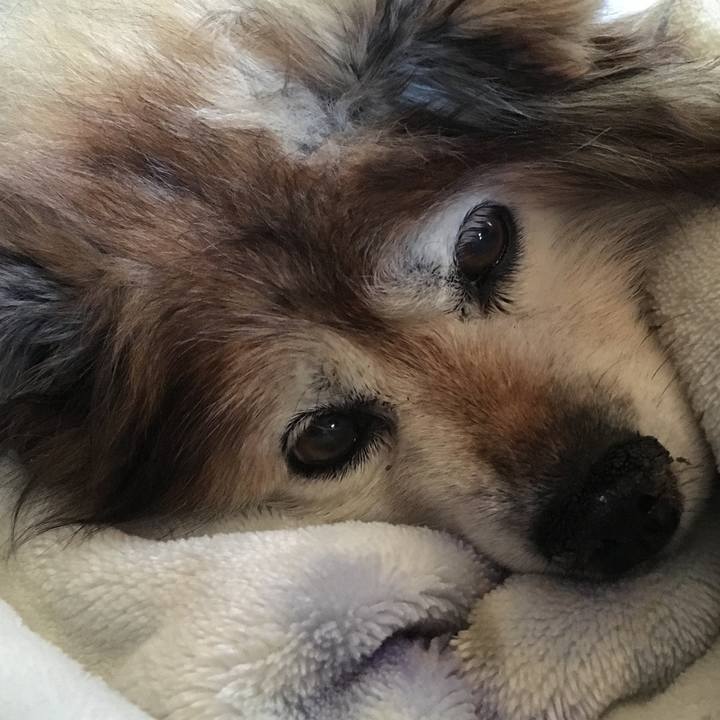 454eb9d3 a1c8 4172 98cd 558af4cb41c5 1603246669691