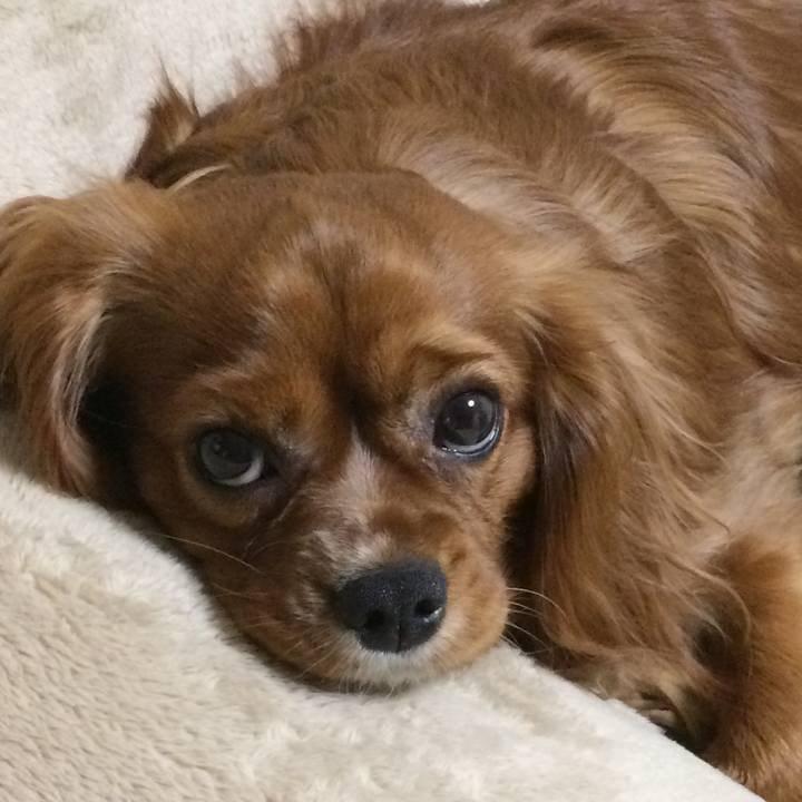 454ed5fc f767 4df3 a931 85b7ca4bd216 1521808833531