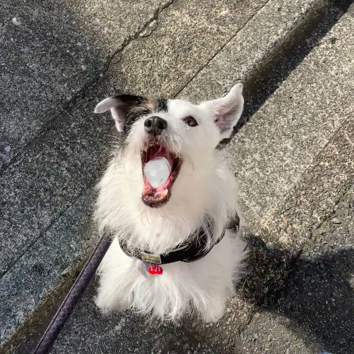 454eec56 24aa 49c6 adf5 7a4ec0b208a1 1689546713892