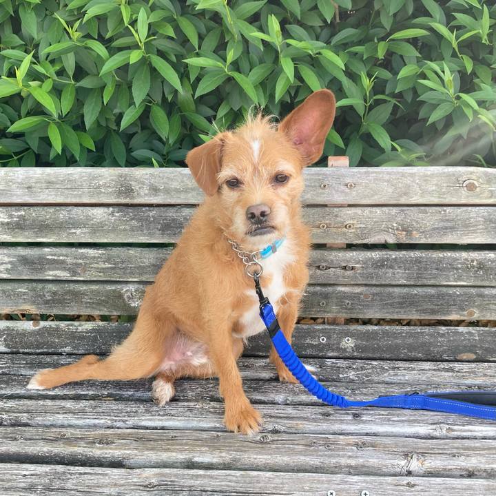 454f5265 6e88 4f07 b853 685ddd749eb6 1619230991881