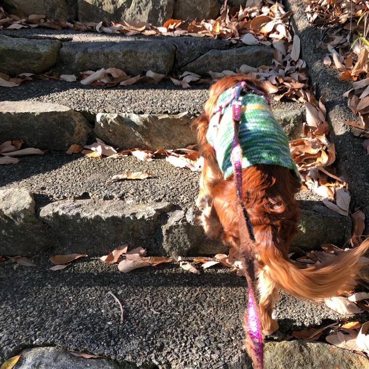 454f81d2 cfe6 4ebe a34a dbc8d1e3ef31 1640125850155