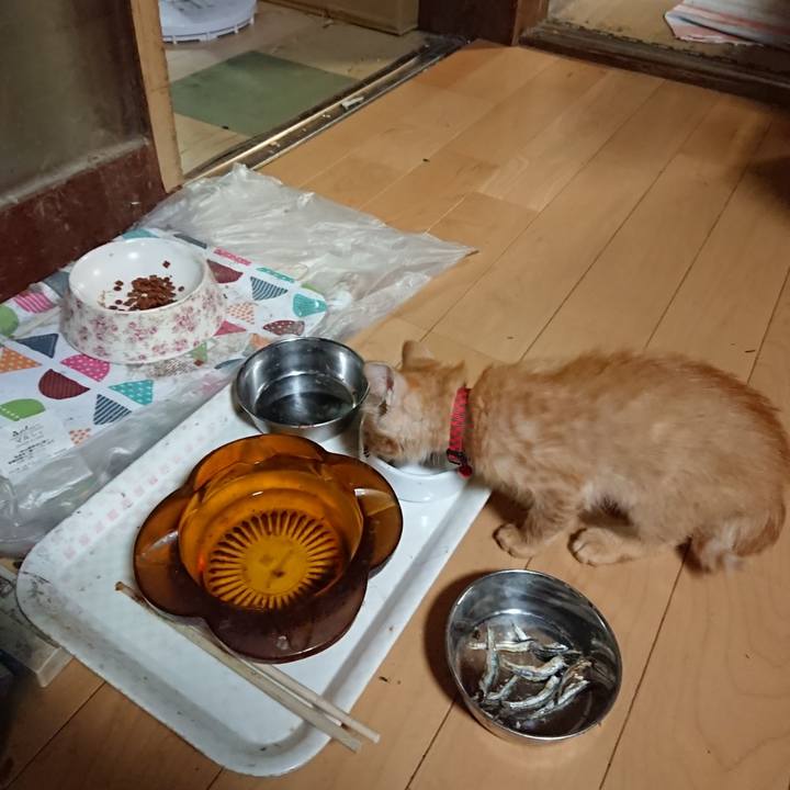 454f900b 9bcd 42ad bf76 27e12b5c08f1 1630318534121