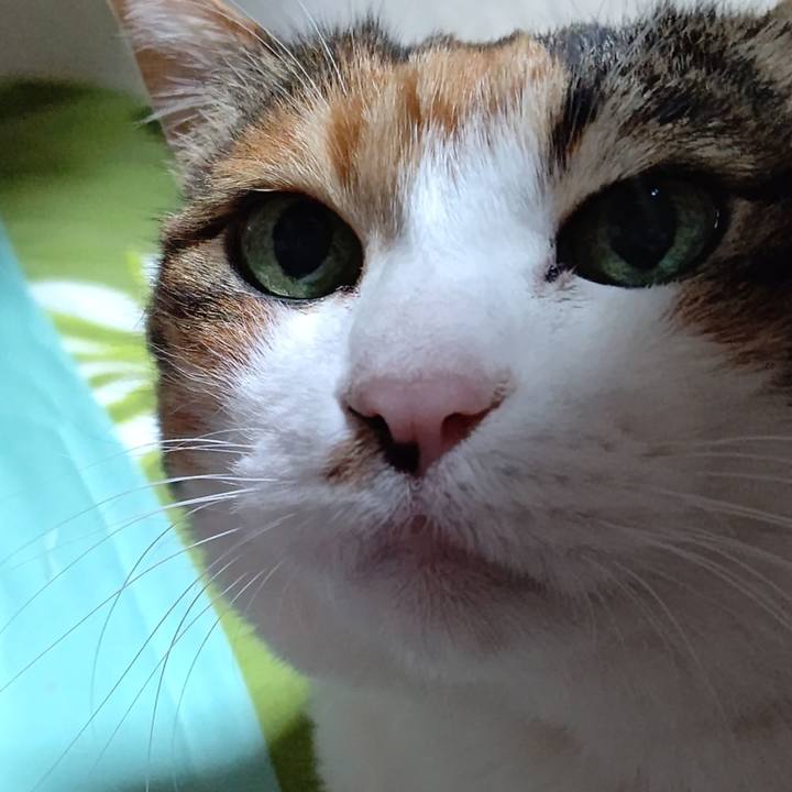 454faf06 f546 4426 8415 0db6f101ad4d 1642506501637