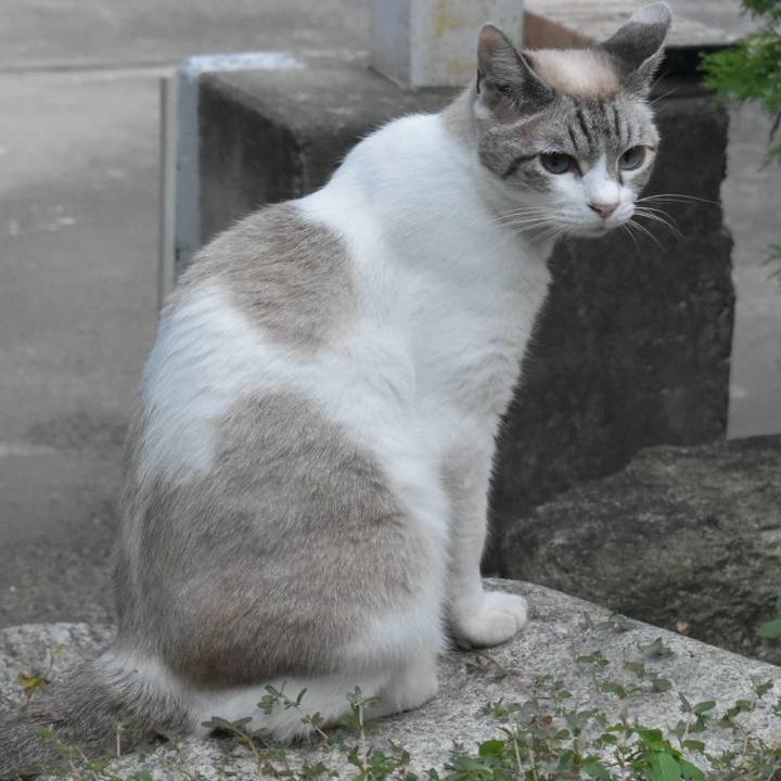 454fc171 5ec1 475b af1f 1f1f02c12495 1751582282294