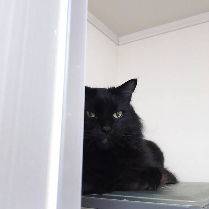 454fe5a8 e746 4675 a6ce 0fd68d27e0f6 1512732715068