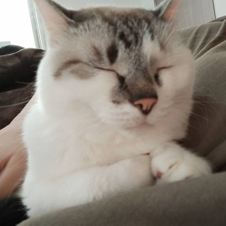 454fe666 6b6d 4bce a35c 41035ddc8475 1599356647936