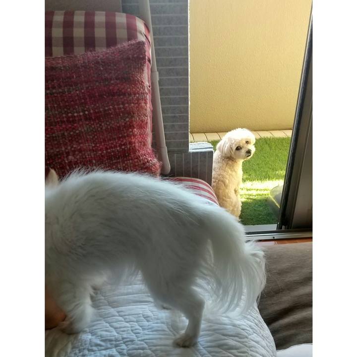 454fe731 bcfc 42c9 8c58 12a121639155 1633214352095