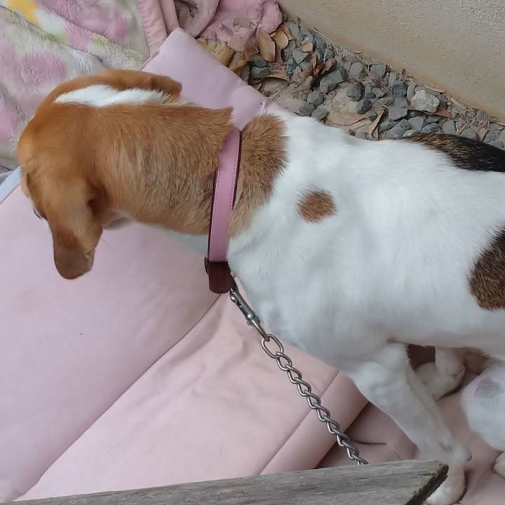 45501de4 01c1 42a3 936a fdf3d699f240 1575611776899