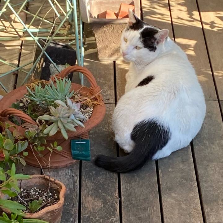 45505cb0 b812 487e 80cf 9d1fc7e505fe 1635067731500