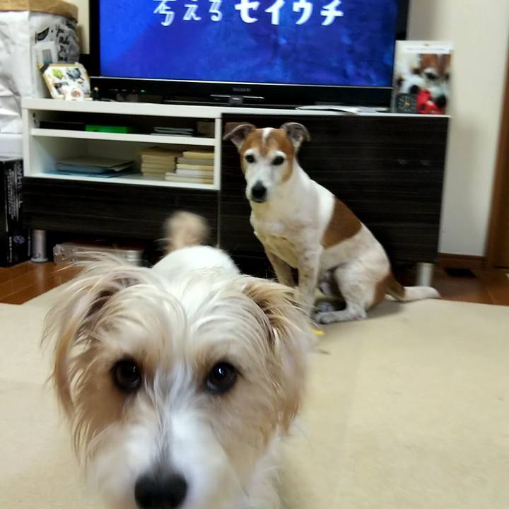 45507b24 15f5 4435 911f a34d3453f9e1 1551046817215