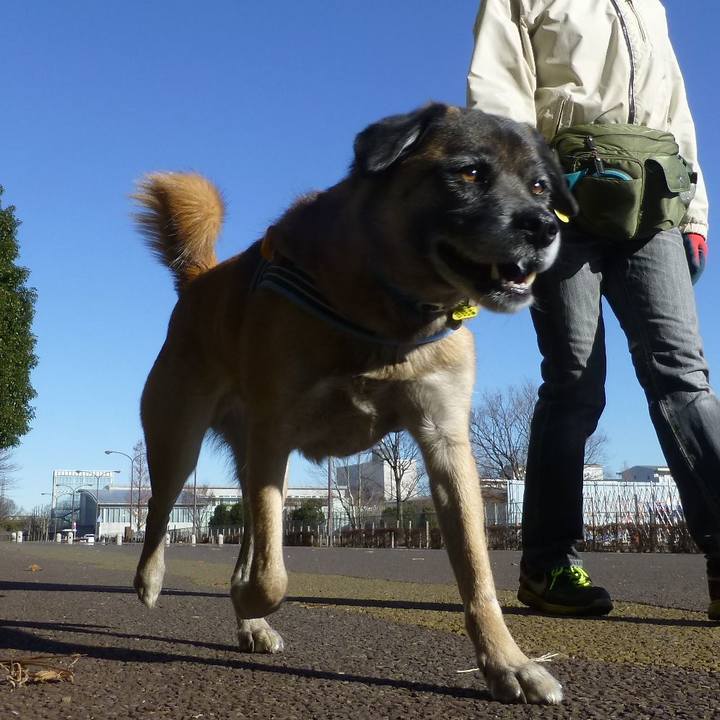 45507bb3 9302 466e ade4 0f3a350cd19d 1579342581865