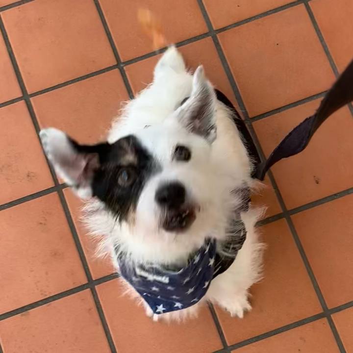 45507ff7 01b4 49e8 9a9f aea3f470e992 1724592277590