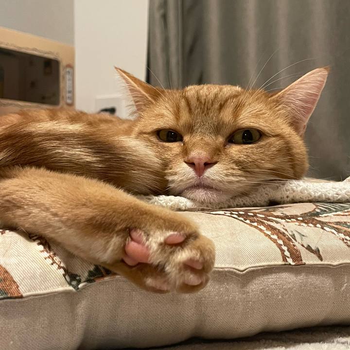 45509506 ddfd 4dfe b265 56c3cbdf64dc 1769003280458