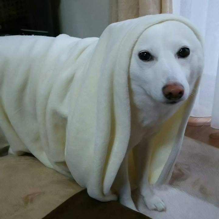 4550cc37 c87e 45c5 b1ca 010d8b49bcf8 1515555236087