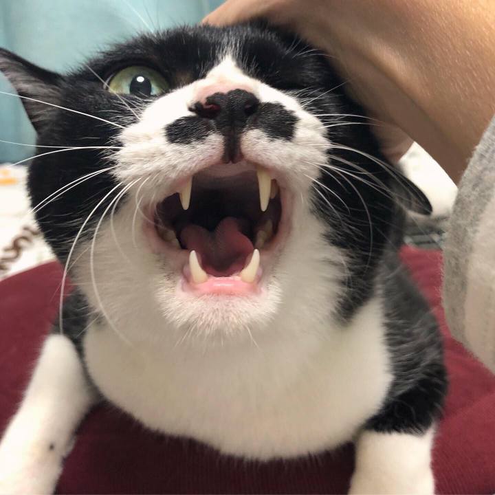 4550d1c4 962e 4b47 a0eb 4736310e72b8 1573740136997