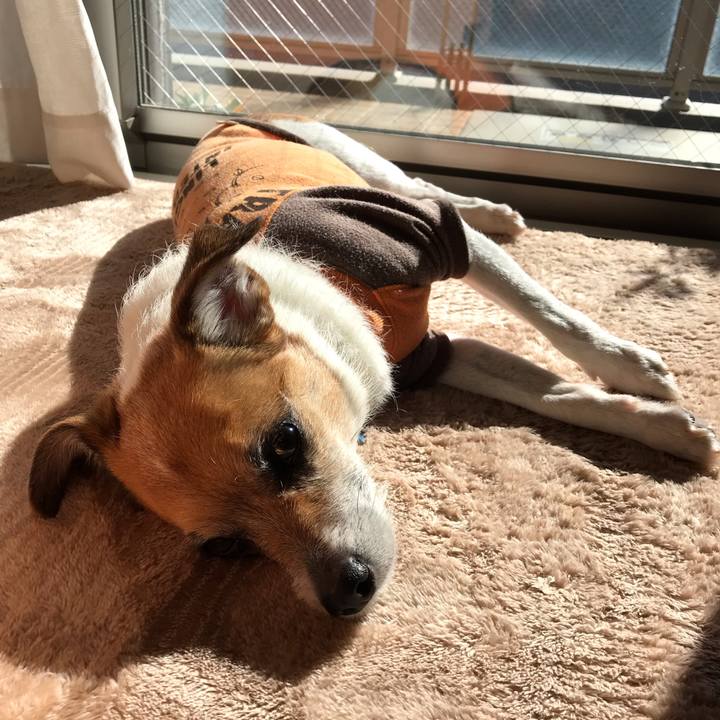 4550f535 7da4 4ae0 939c 30b82ec00e93 1548042838639