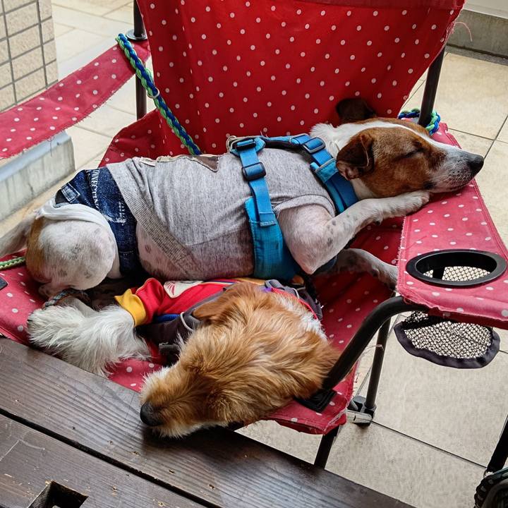 45510a55 d64b 4e60 9a8d f448902480d5 1621243267527