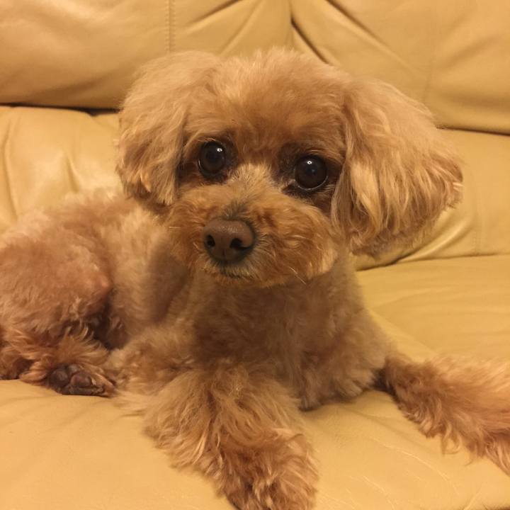 45514ee6 f4f3 412a a742 e7b8d86e13c5 1526103164847