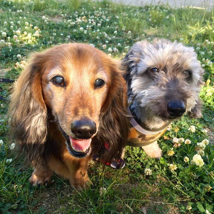 45515428 83f8 486c 800f 385a9161a8f2 1586593240029