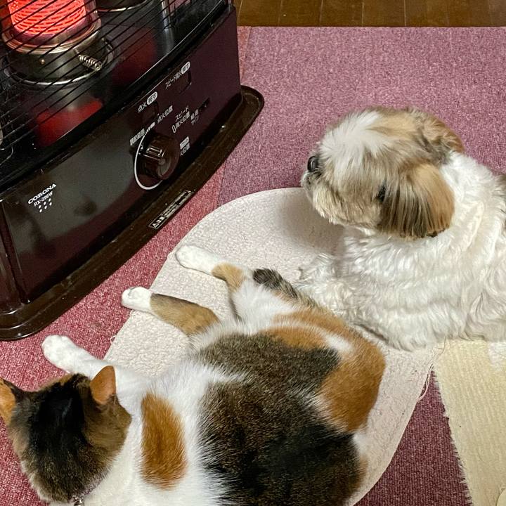 45515c52 e006 4d3e 8c08 75e3fcf9e87d 1606547999323