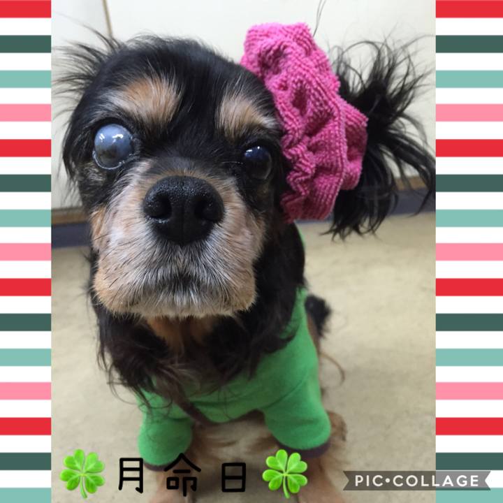 45515df4 58d6 47cb ac07 6f77b5c5bd2d 1606053927340