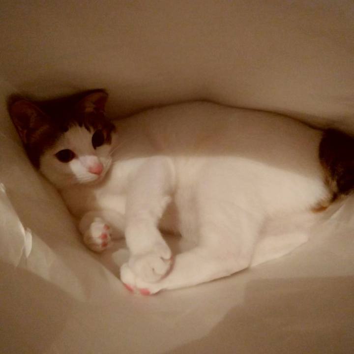 45516b38 80ba 42c3 9f38 8494a651a226 1686306946664