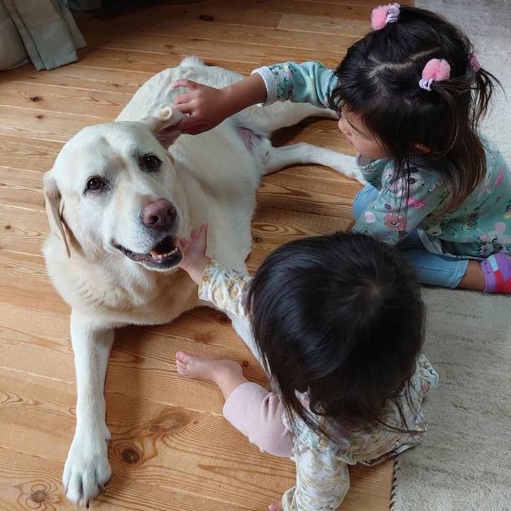 4551b143 7a1a 44b8 9cb6 62c9a51e520d 1686704240031