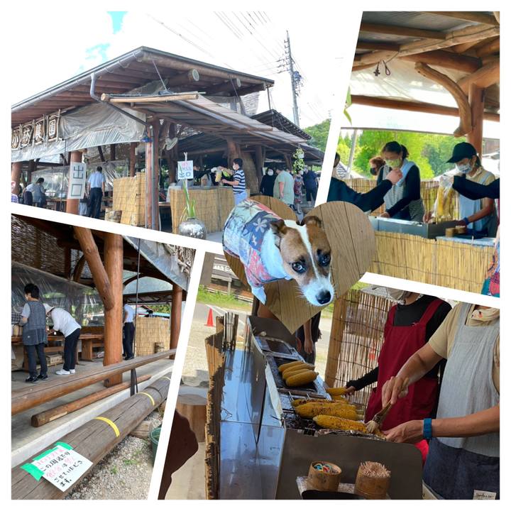 4551c07e 3dff 4e67 a61b 6501f75454b5 1628059262528